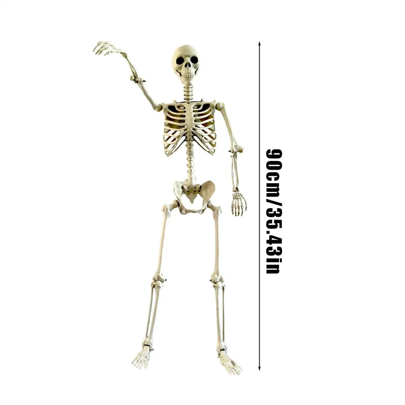 90CM Life-Size halloween Skeleton / Haunted House Decoration